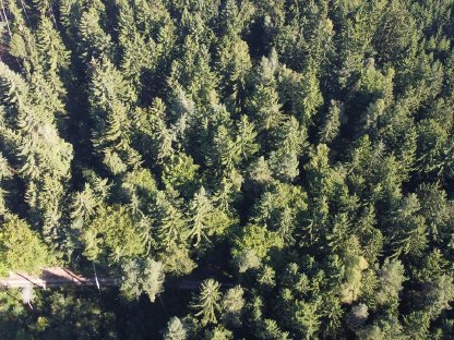 Waldstück 6.295 m² bei Viergstetten/Haugenried
