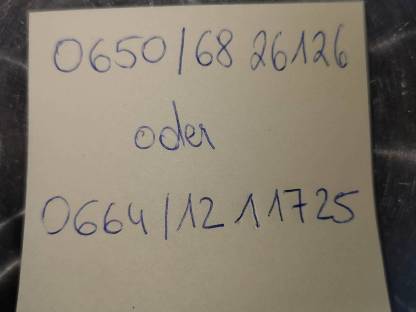 Bild 9:Anglonubierbock und Scheckenkitze