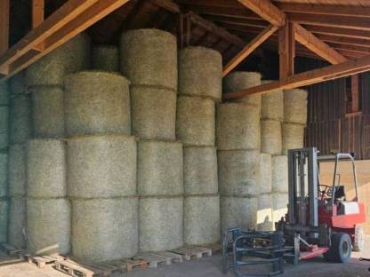 Bild 6:Heu Grummet Rundballen