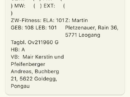 Bild 2:Braunes Bergschaf