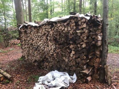 Brennholz