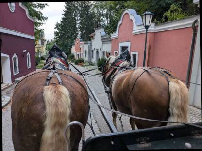Bild 9:Ausbildung in Kutschenfahrten, Reiten, Holzrücken
