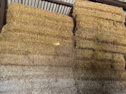 Bild 2:Stroh Quaderballen Ernte 2025