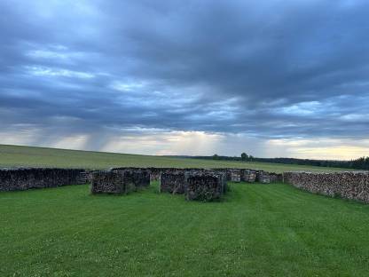 Bild 4:Brennholz Buche