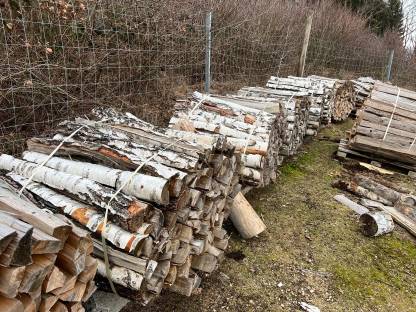 Bild 3:Brennholz