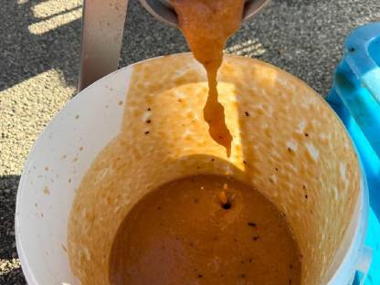 Bild 2:Zwetschkenmaische