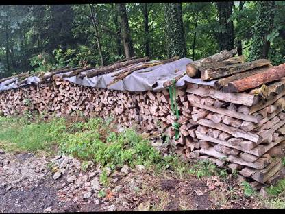 Bild 3:Brennholz
