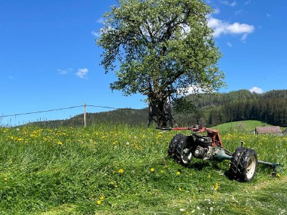 Bild 2:Reform M12 Motormäher