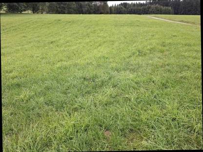 Bild 3:Vergebe 5. Schnitt