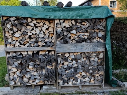 Buchenholz