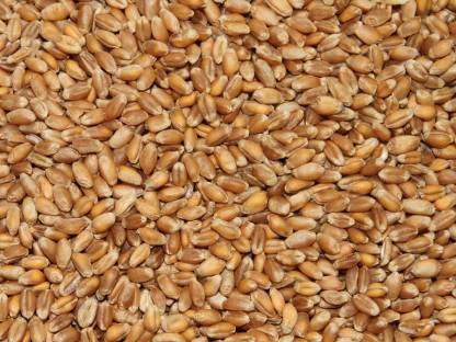 Bio Weizen, Gerste Sackware