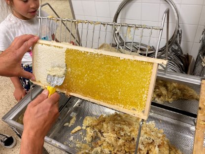 Bild 2:Verkaufen Honig in Hobbock 35-40 kg, Blütenhonig