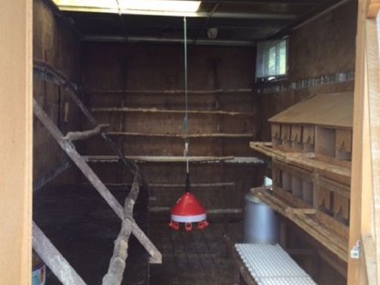 Bild 8:Mobilstall für Legehennen