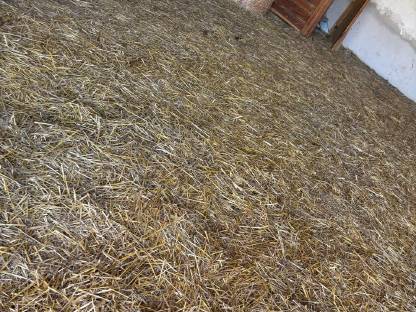 Bild 4:Offenstall Einstellplätze