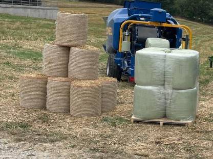 Bild 3:Verkaufe Maisballen/Musmaisballen (konv, bio)