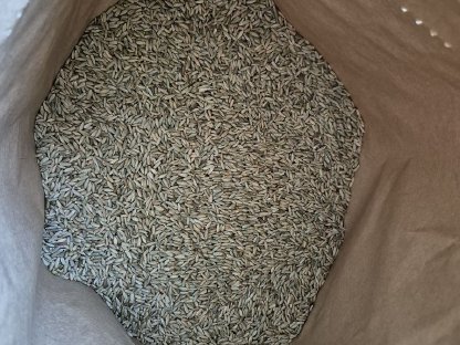 Bild 2:Verkaufe Bio-Speiseroggen Dukato