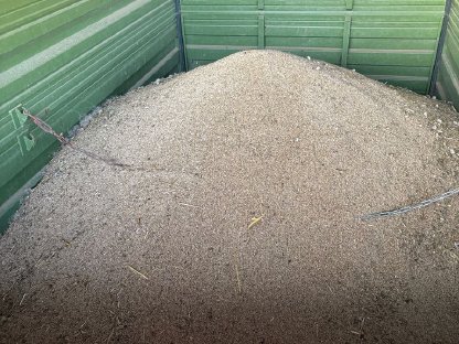 Bio Roggen