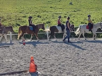 Ponys aus Reitbetrieb