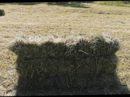 Bild 2:Heu in Kleinballen abzugeben