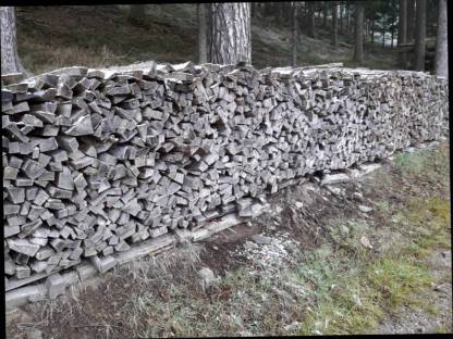 Brennholz