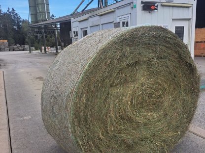 Bild 3:Heu, Hallengelagert, gute Qualität, regenfrei