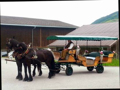 Bild 2:Kutsche für bis zu 12 Personen