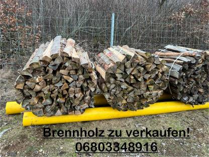 Brennholz