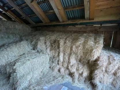 Bild 3:Heuballen 1. Schnitt