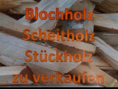 Brennholz