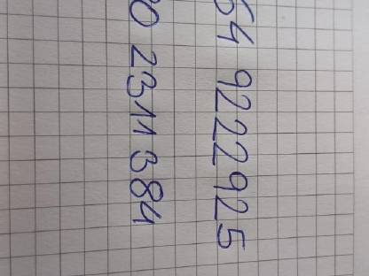 Bild 2:Tauernschecken Kitze