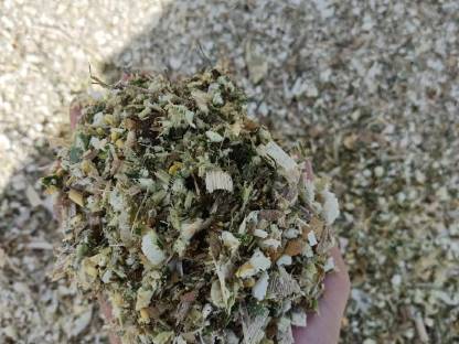 Bild 8:Maisernte mit Agrarservice Strasser