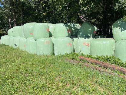 Silageballen
