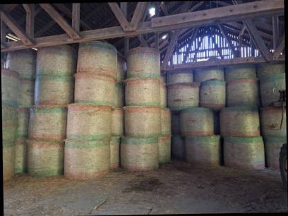 Heuballen