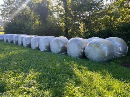 Bild 2:Bio Siloballen