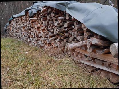 Bild 2:Holz, 20 m Brennholz, 19 m Hartholz, 1 m Weichholz