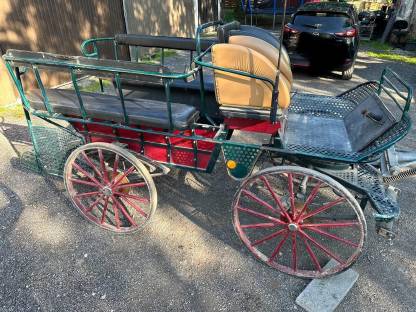 Bild 8:Wagonette mit Geschirr und Leinen