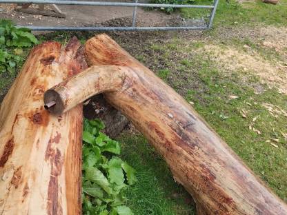 Bild 3:Brunnentocke, Brunnenstandner, Brunnen, Brunntrog, Lärche