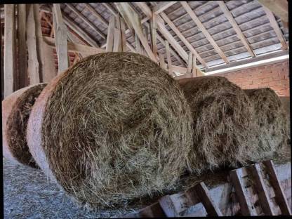 Bild 2:Heuballen