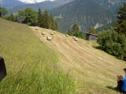 Grummet-Silageballen und Grummet-Heuballen