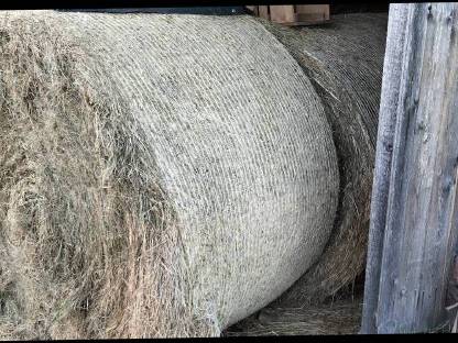 Bild 3:Heuballen von der Ökowiese