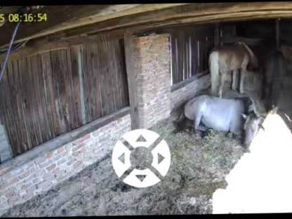 Bild 2:Einstellplatz für Pensionisten zu vergeben