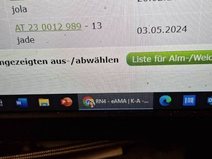 Bild 4:BIO Kalbinnen