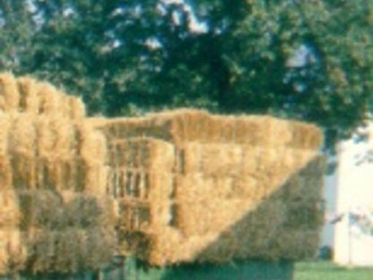 Bild 3:Rungenwagen, Holzwagen, Gummiwagen