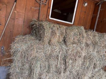 Wiesenstreu in Kleinballen