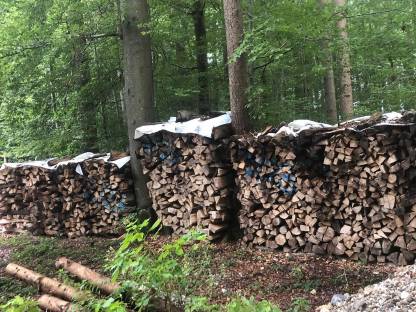Bild 3:Brennholz