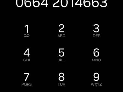 Bild 2:Fleckvieh: Stierkälber