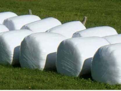 Gras/Klee-Silageballen