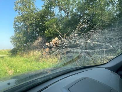 Bild 2:Hackgut, vorwiegend Hartholz