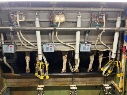 Bild 2:Melkstand Side by Side