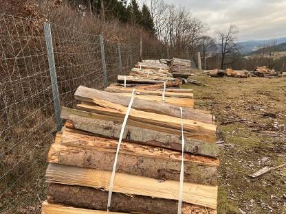 Bild 2:Brennholz